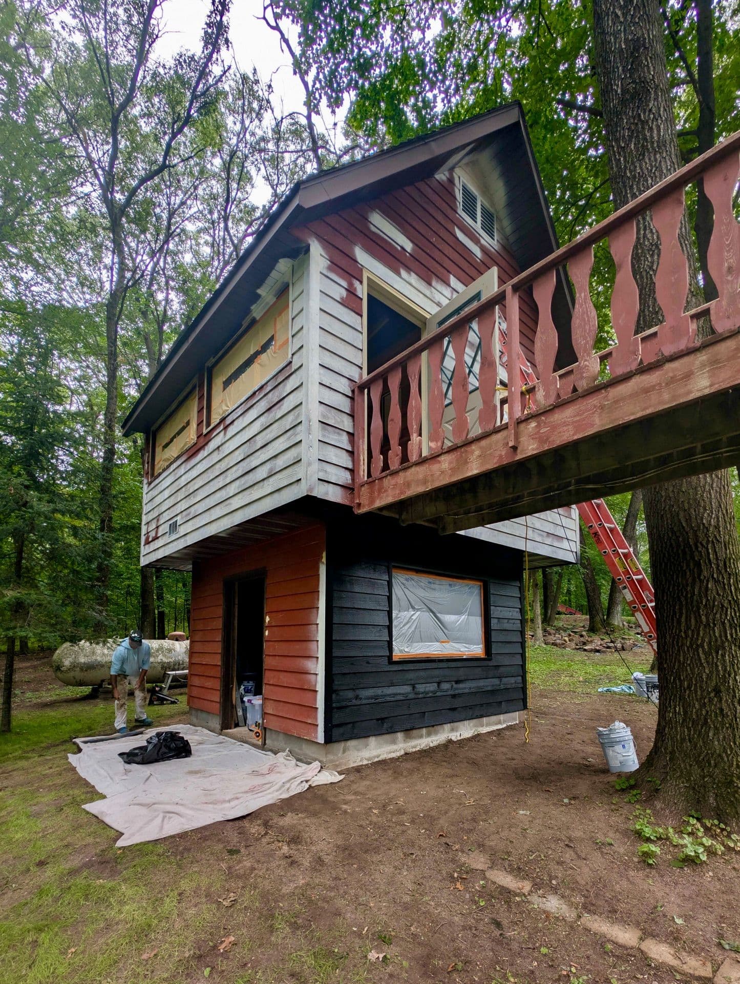 Stunning Woodland Transformation in Elk Mound image
