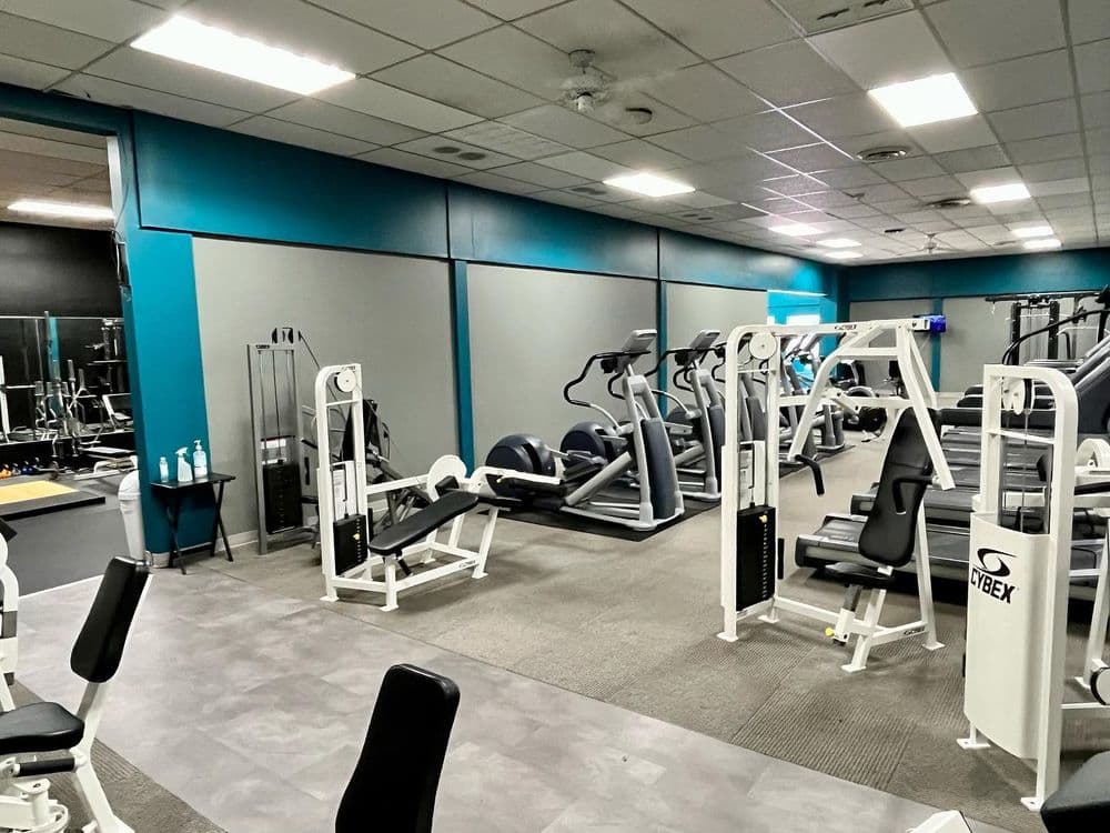 Modern gym interior featuring weight machines and cardio equipment in a spacious layout.